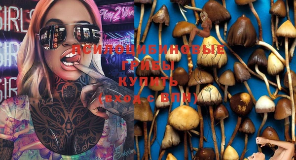 хмурый Балабаново