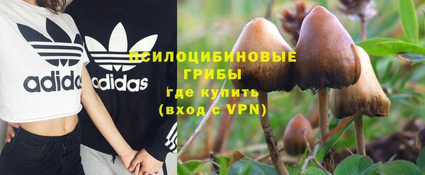 хмурый Балабаново