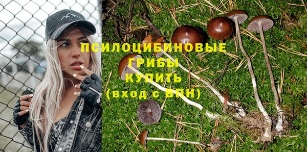 хмурый Балабаново
